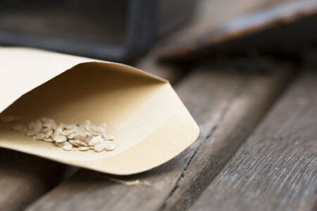 Buy Organic Seeds on SeedWise Image